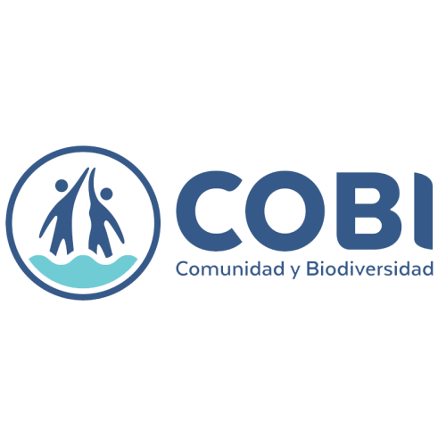 cobi